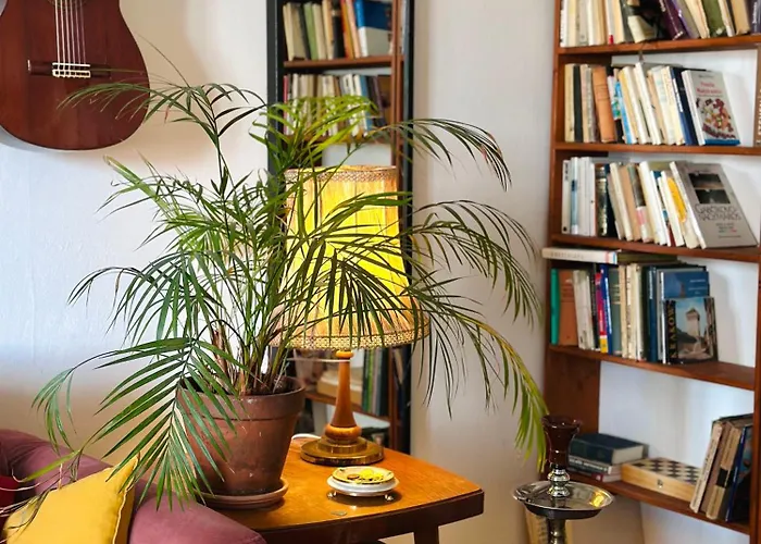 Little Rembrandt Bratislava